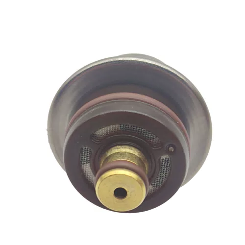 Fuel Pressure Regulator for Audi Volkswagen BMW 0280160557 0280160587 0280160562 0280160575 198050 - image 6